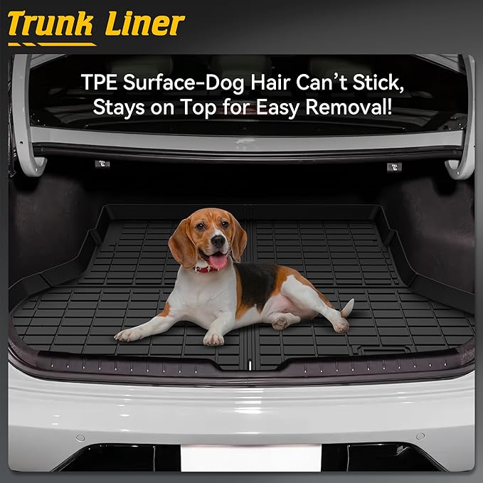 Floor Mats & Cargo Mat Custom Fit - Image 3
