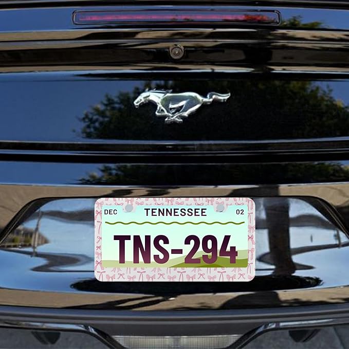 License Plate Frame for Pink Bow Stainless Steel License Plate Frames Holder - Image 7