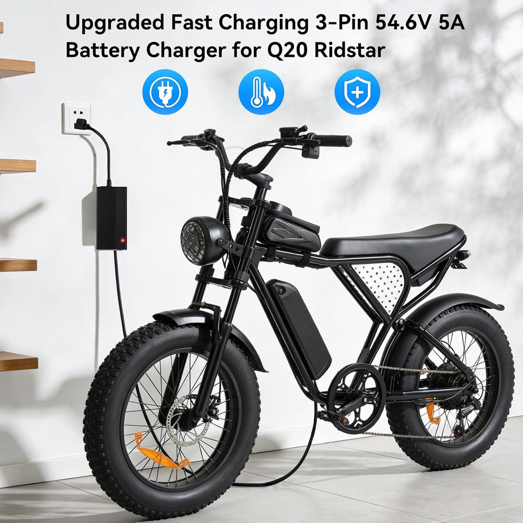 Upgraded Fast Charging 3-Pin 48V 5A Battery Charger for Q20 Ridstar, Battery Power Adapter, Waterproof & Moisture-Proof & Protection Against Overcurrent Charger Part for Q20 Ridstar ﻿(5A)