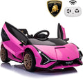 Licensed Lamborghini SIAN Kids Electric Ride On Car Toy by TOBBI, 12V Battery by TOBBI