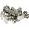 santie 1/2-in x 3-in stainless carriage bolt, main product view