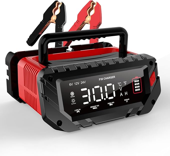 30 Amp Lithium Battery Charger, 6V/12V/24V Lifepo4, Lead-Acid Portable Car by haisito