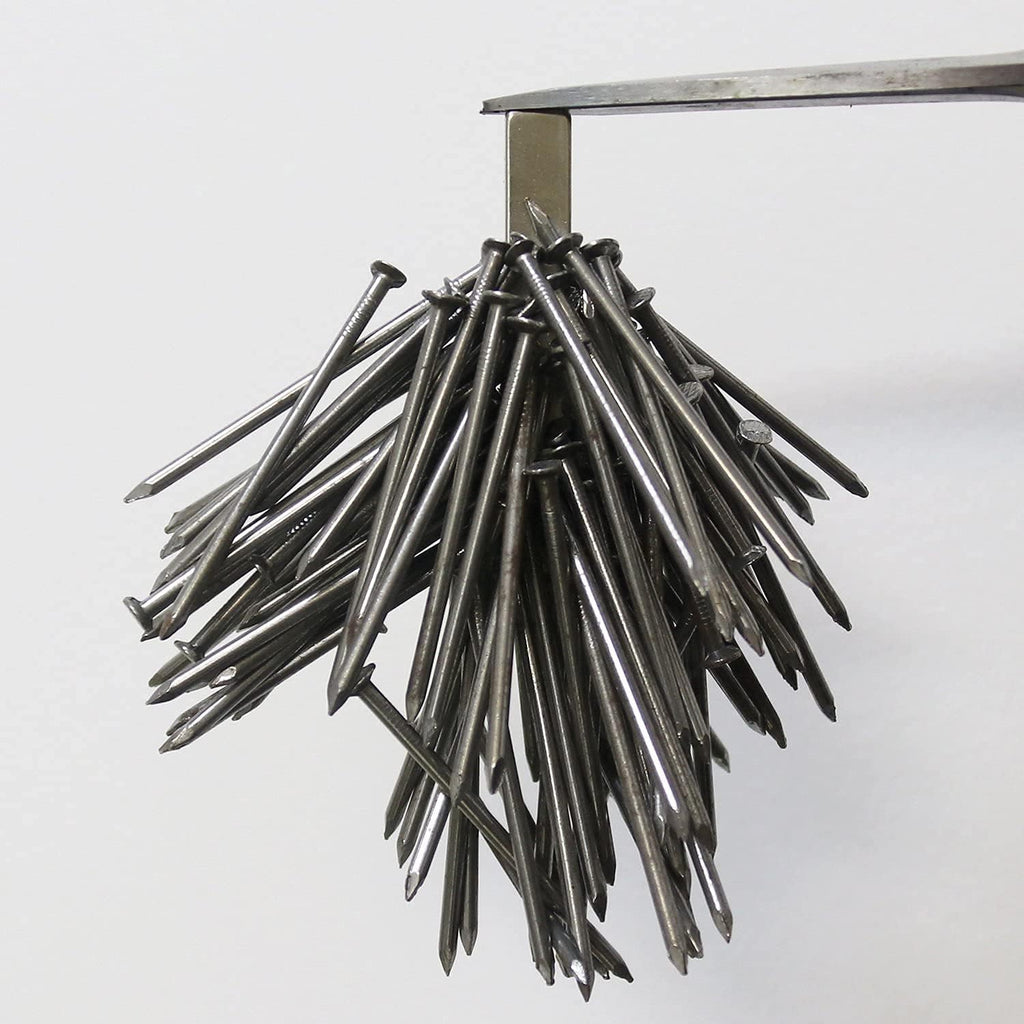 lovimag magnets neodymium magnet 50 pack strong rare showing dimensions