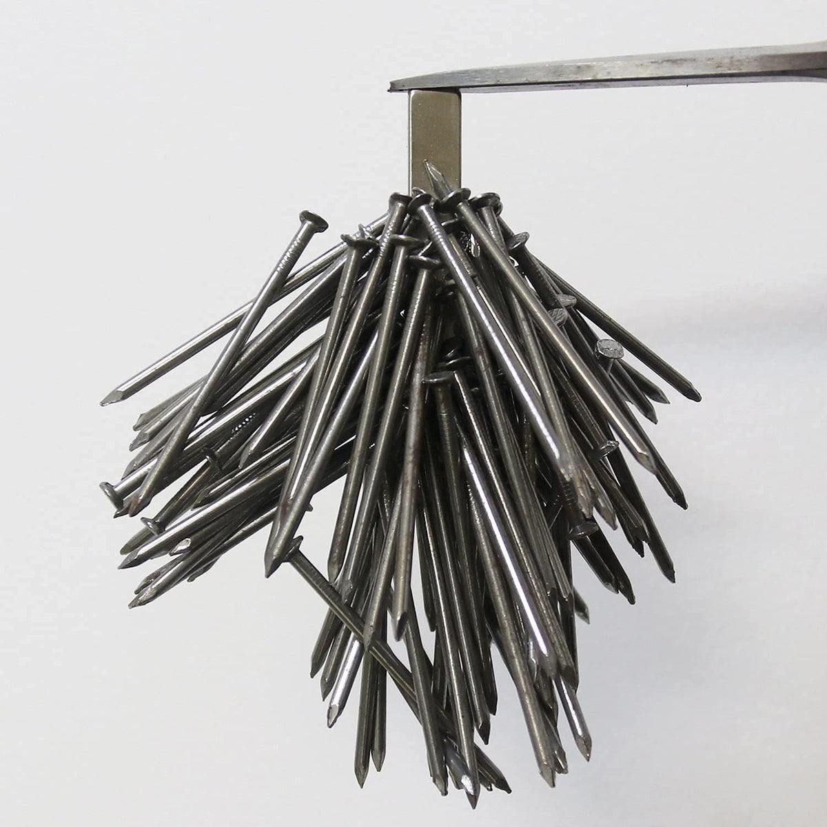 lovimag magnets neodymium magnet 50 pack strong rare showing dimensions