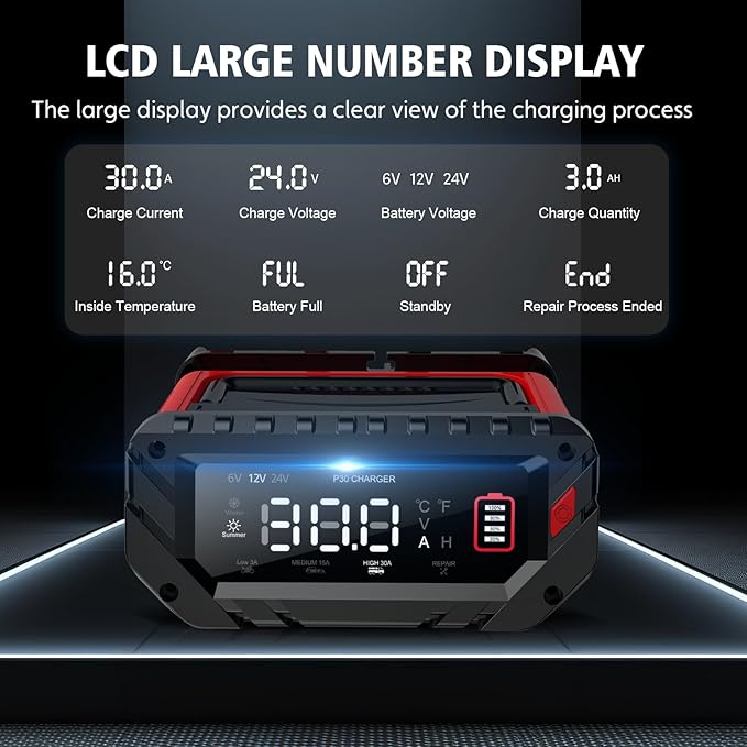 30 Amp Lithium Battery Charger, 6V/12V/24V Lifepo4, Lead-Acid Portable Car - Image 5
