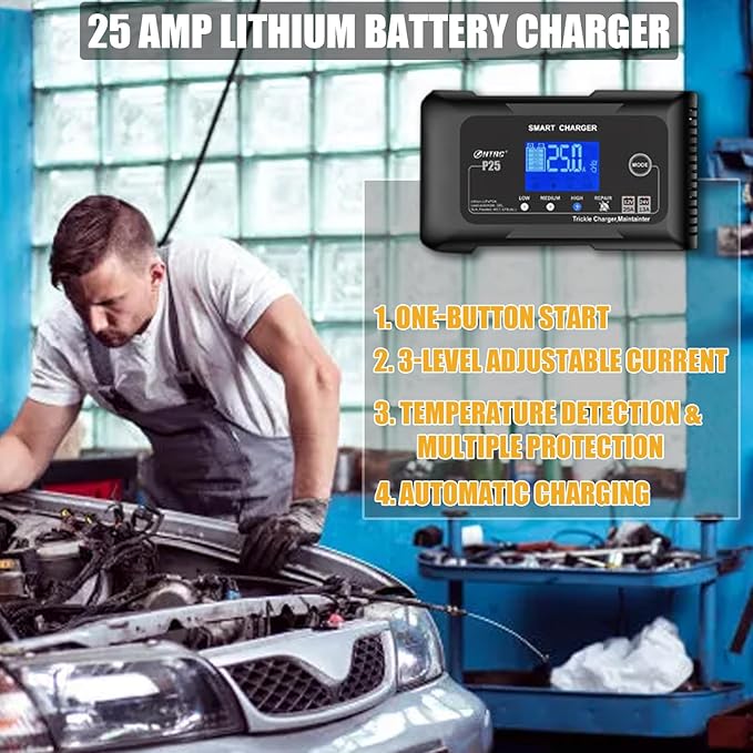 25Amp Lithium Battery Charger, 12V and 24V Lead-Acid Battery Charger, Battery - Image 3