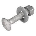 1/4" x 1-1/2" (100 pack) galvanized carriage bolt, main product view