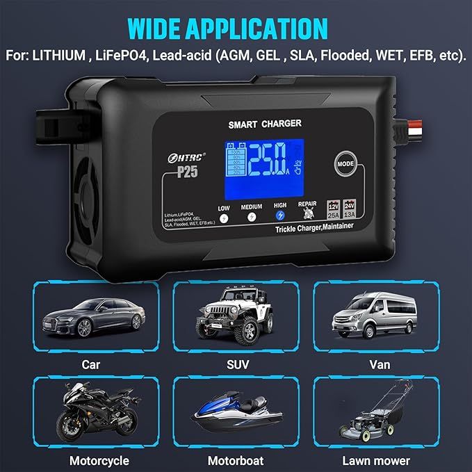 25Amp Lithium Battery Charger, 12V and 24V Lead-Acid Battery Charger, Battery - Image 8