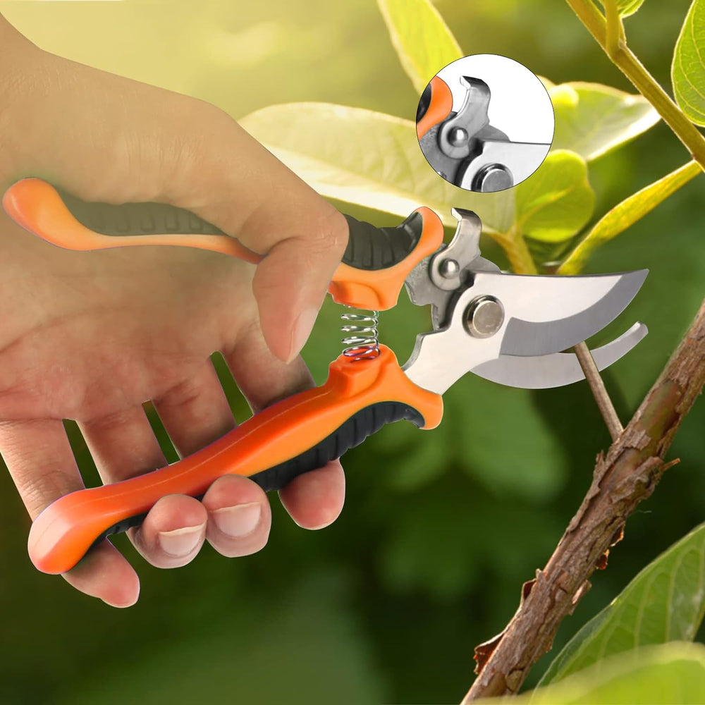 Bonsai Tools Set, 20 Pcs Gardening Succulent Tree Indoor Beginner Tool Kit, I...