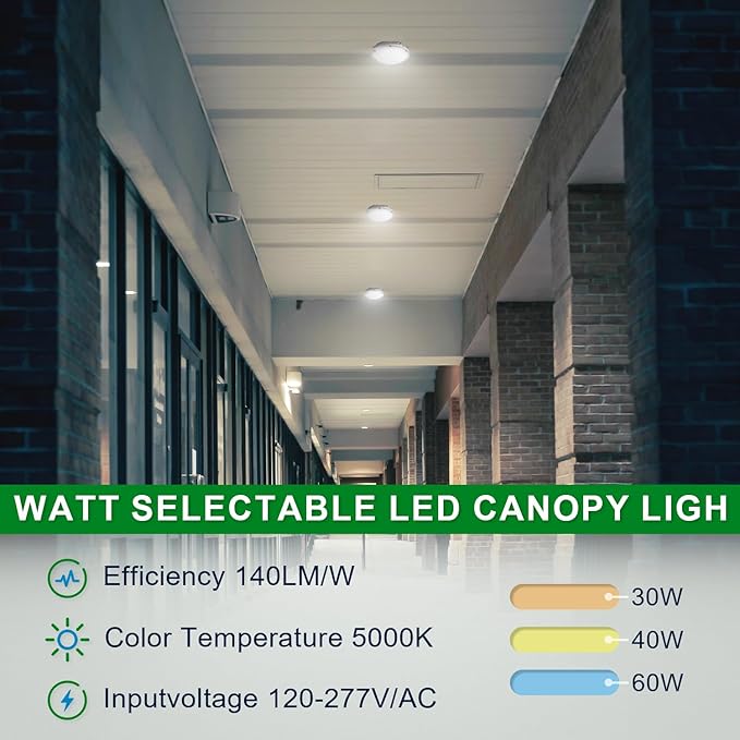 OSTEK LED Garage Light 30W/40W/60W LED Carport Canopy Lights 5000K 90-277V IP65 - Image 2