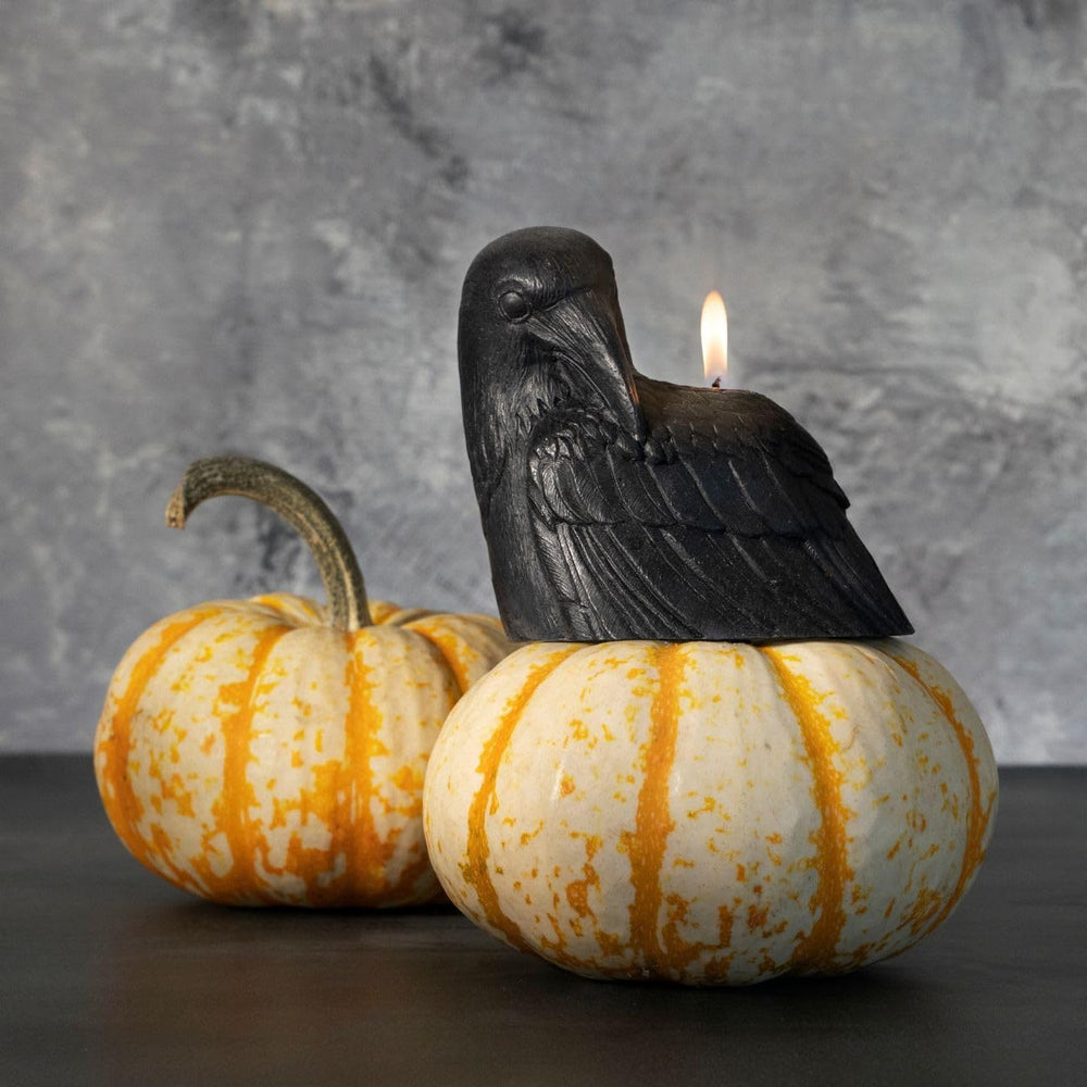 Big Dipper Wax Works Black Crow Candle – Handcrafted 100% Pure Beeswax, 4&quo...