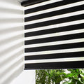 Persilux Cordless Zebra Roller Window Shades Free-Stop Roller Blinds Light by PersiluxHome