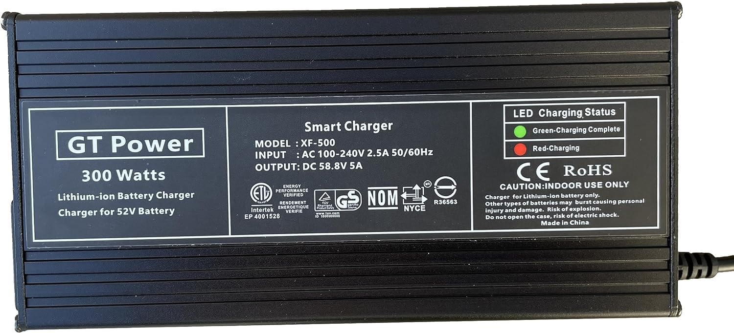 5A AC Adapter Compatible with Heybike Villain