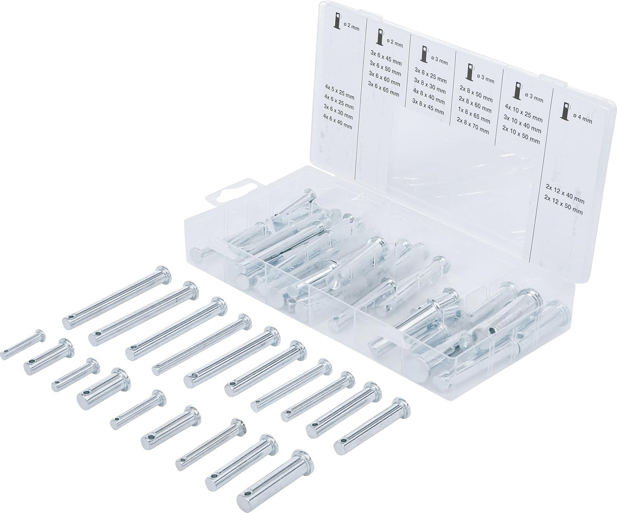 bgs 8137 safety bolt assortment, 60-piece, 1 piece, main product view