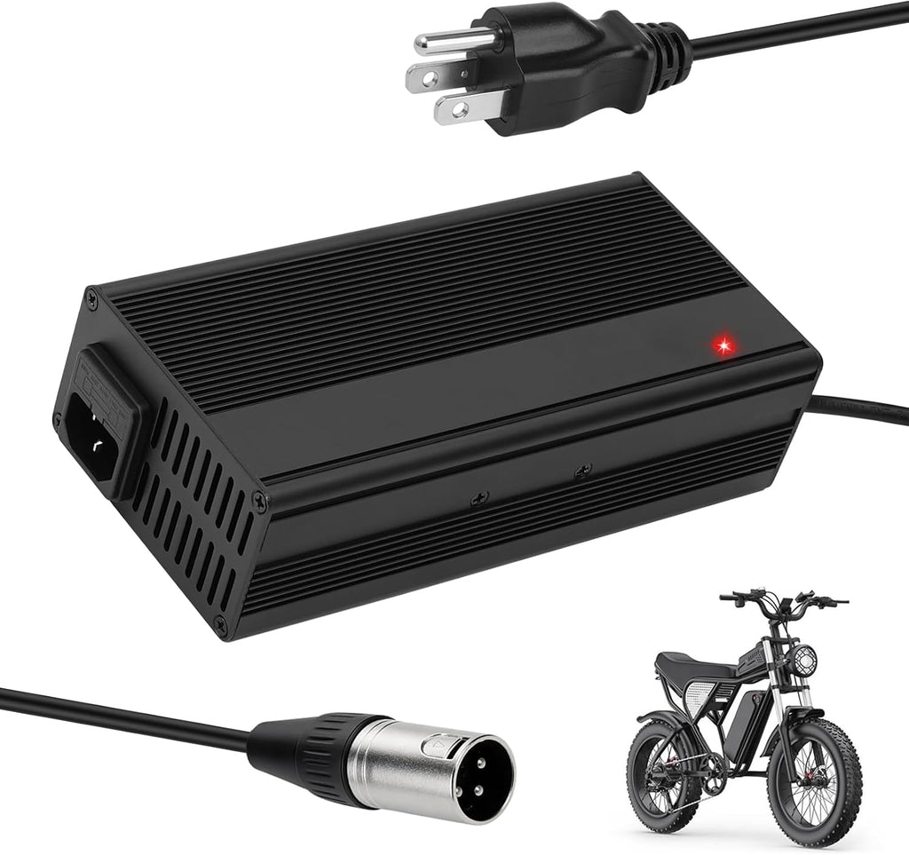 Upgraded Fast Charging 3-Pin 48V 5A Battery Charger for Q20 Ridstar, Battery Power Adapter, Waterproof & Moisture-Proof & Protection Against Overcurrent Charger Part for Q20 Ridstar ﻿(5A)