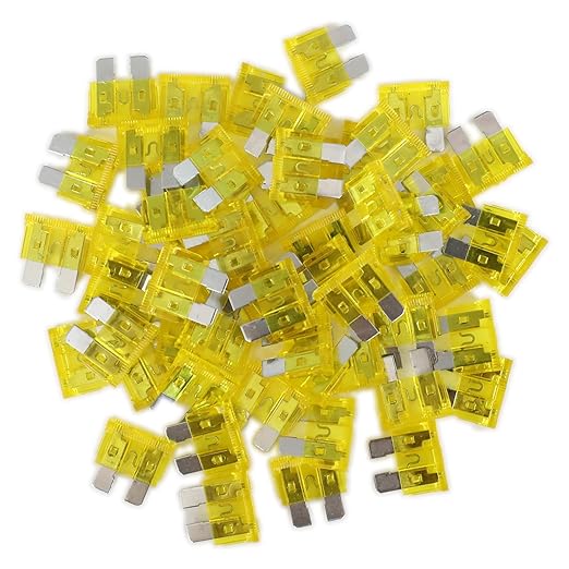 20 Amp Standard Fuse, 20A Car Blade Fuses by Fuselechada