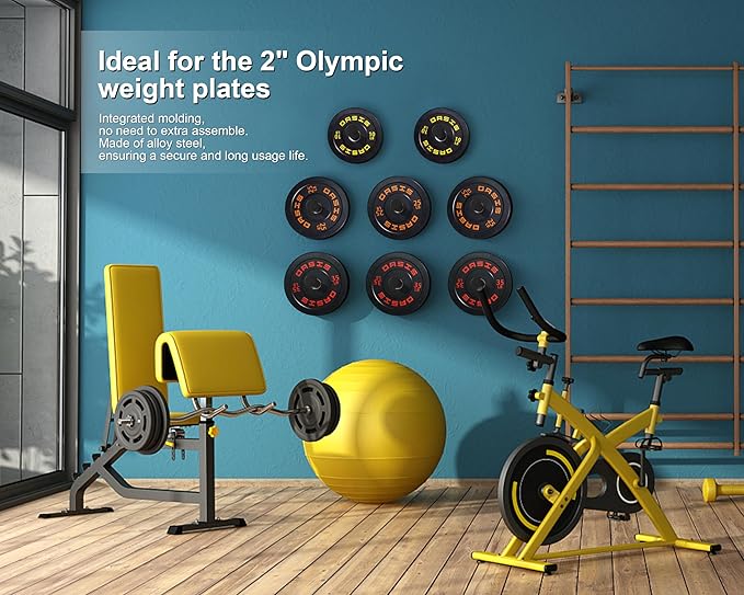 Weight Plate Holder, Wall Mounted Weight Rack Storage - Image 4