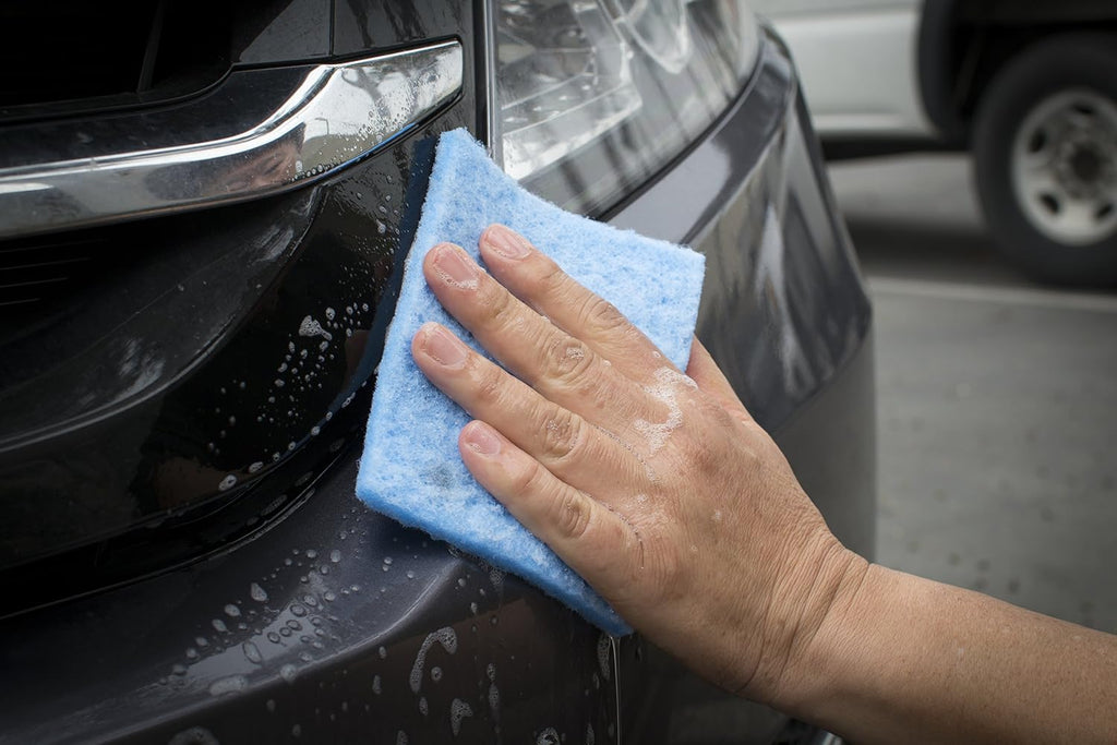 Bug Removing Sponge (6 Pack) with Concentrated Car Wash Soap Included
