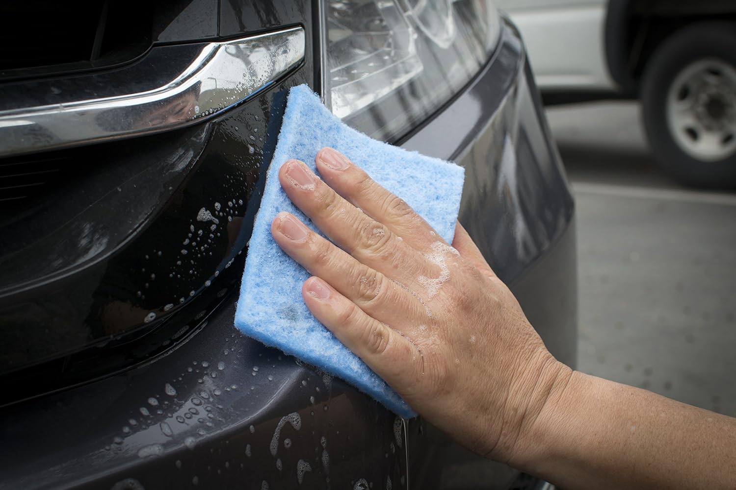 Bug Removing Sponge (6 Pack) with Concentrated Car Wash Soap Included