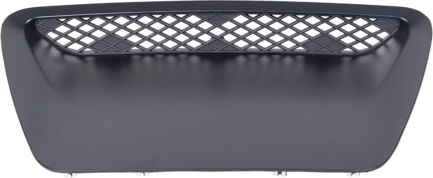 HECASA Hood Scoop Molding Bezel Insert Compatible with 2004 2005 Ram 1500 SRT 10 Replacement for YL23TZZAB, 5029770AA ABS Plastic