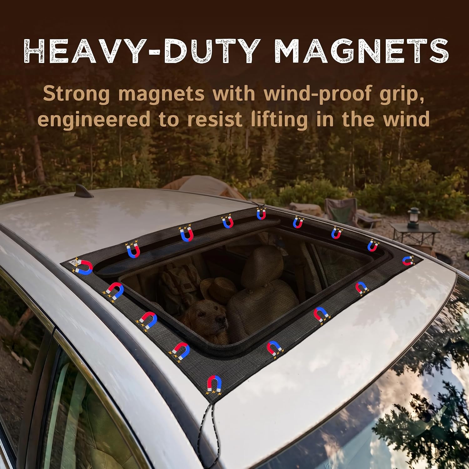 Magnetic Sunroof Bug Screen - Ultra-Tear-Resistant Mesh Mosquito Net for Car Camping - Essentials for Ventilation & Insect Protection - Fits 4Runner, RAV4, Outback, Others (Large (39 in x 26 in))