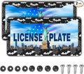 License Plate Frame Black and White License Plate Holder Spider Web Bat by Unknown
