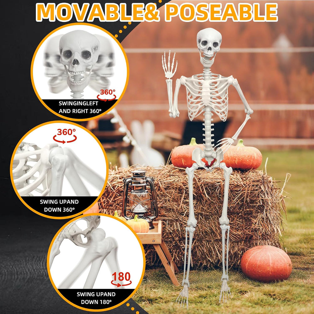 5.9Ft/180cm Giant Skeleton Poseable Skeleton Realistic Full Body Bones for Ha...