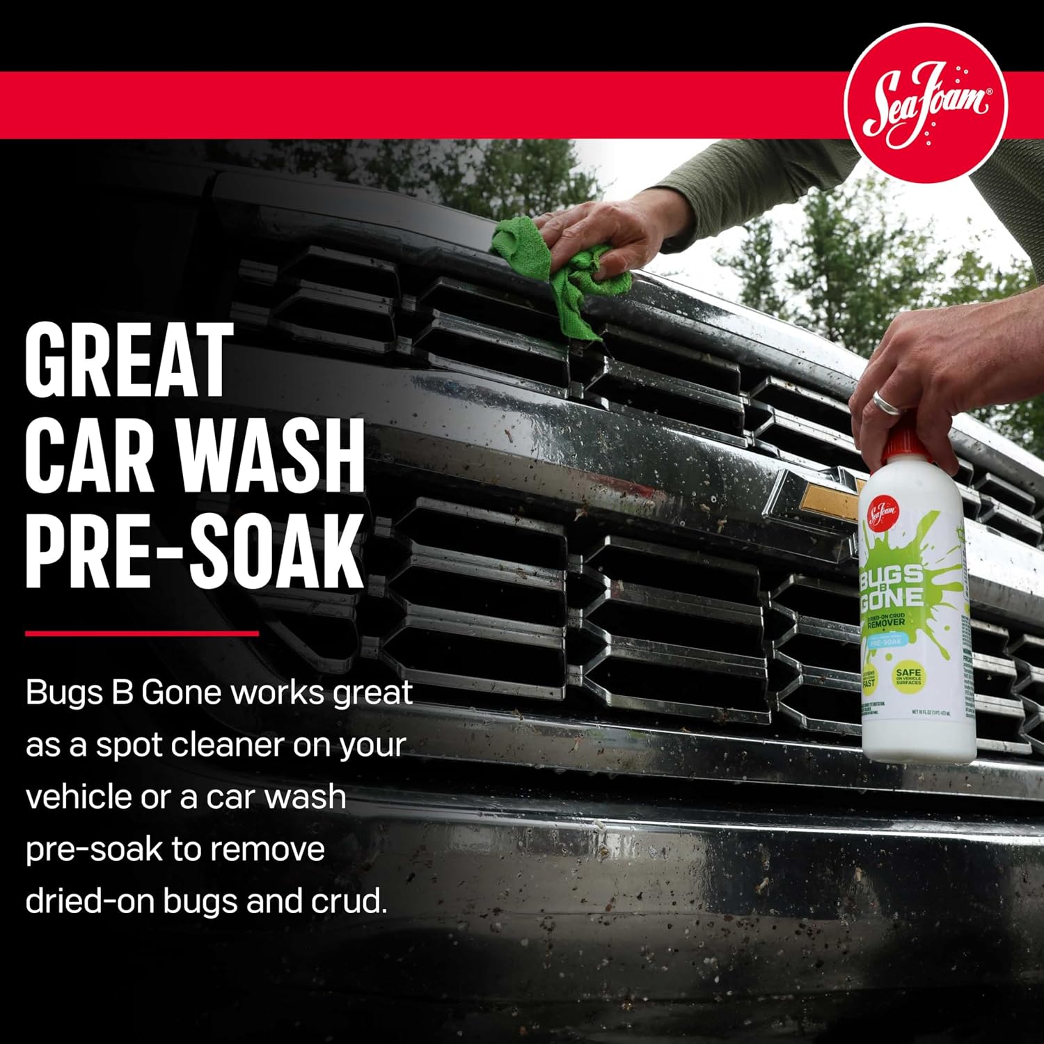 Sea Foam Bugs B Gone Bug and Crud Remover, BBG32, 32 oz, Pack of 1