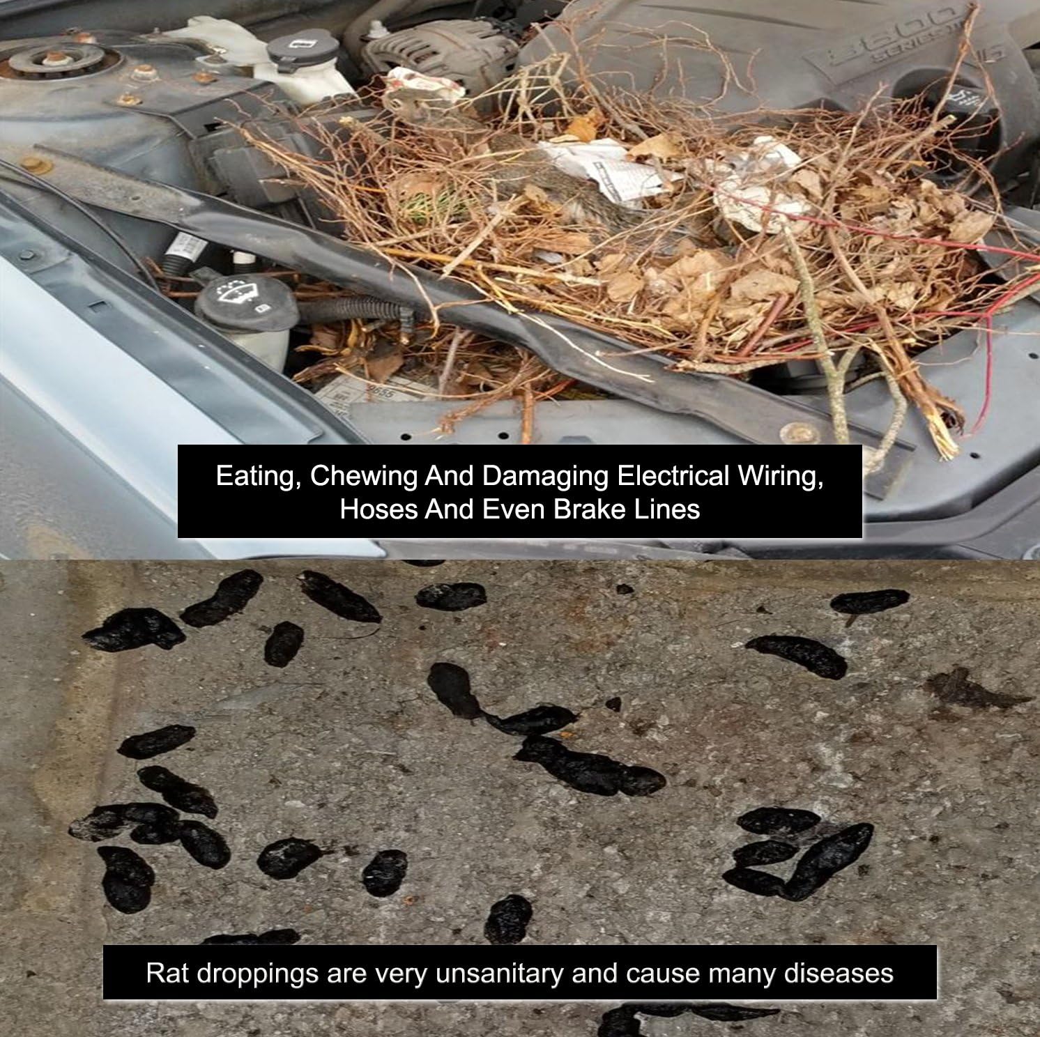 Mice/Mouse, Rat, Squirrel & Rodent Wire, Engine & Vehicle Protection Spray Prevents Chewing & Nesting for Cars, Trucks, RV’s, ATV’s. Great for Winter Protection. Ready to Use (128 Oz Gallon)