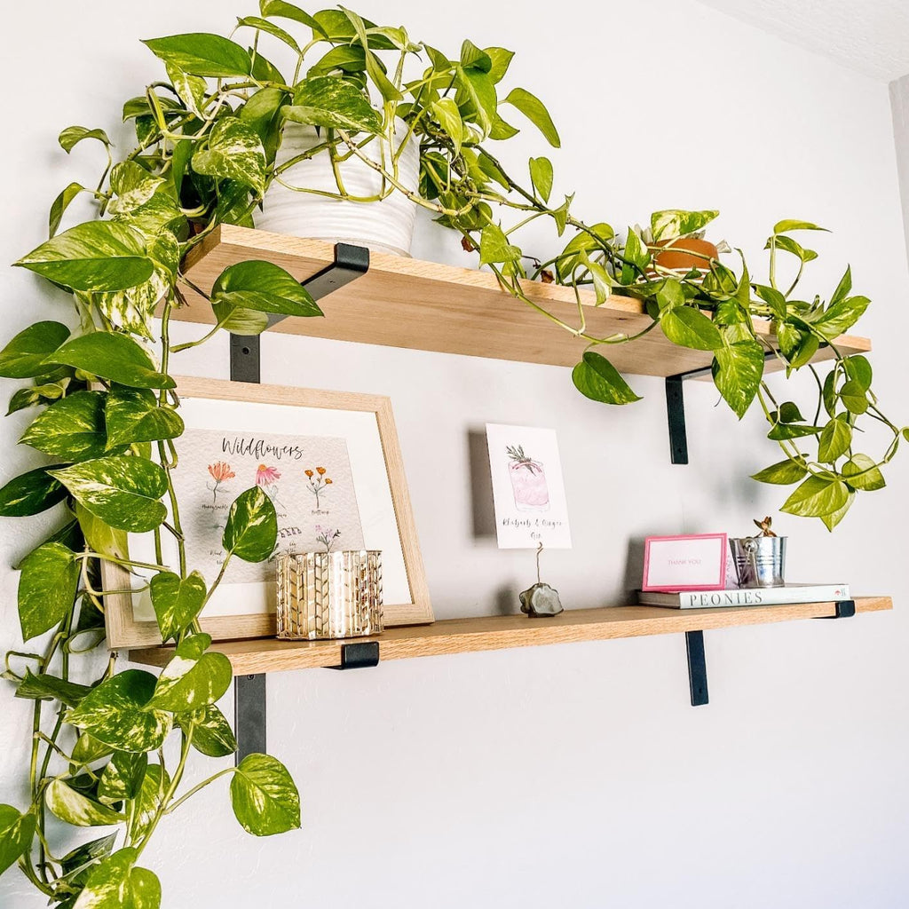 heavy-duty shelf brackets - premium construction grade 1/4", side view