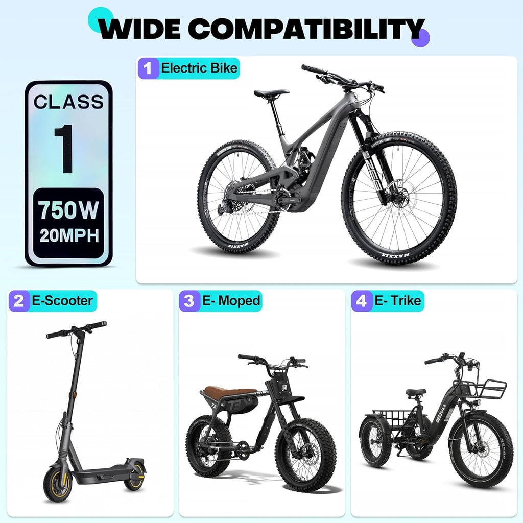 4 PCS Class 2 Ebike Sticker 750W 20MPH - Colorful Reflective Vinyl Decal for Electric Bicycle Classification (2.5 x 1.2 Inch)