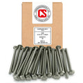 chenango supply 5/16-18 x 4" stainless carriage bolts, main product view