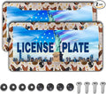 License Plate Covers for Women Multicolor License Plate Frames for Men Chicken by Unknown