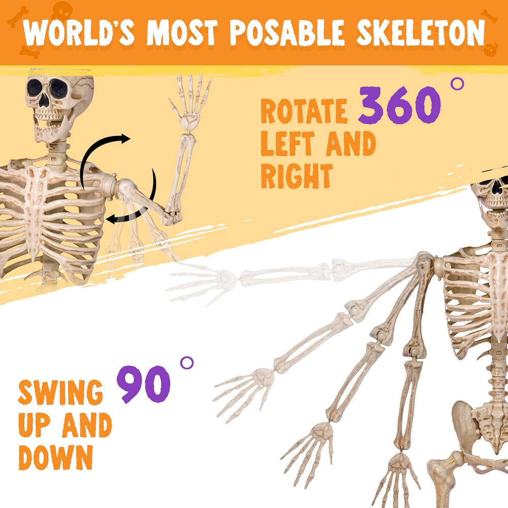 JOYIN 5 FT Halloween Skeleton Life Size, Stayable Posable Skeleton Decor, Ful...