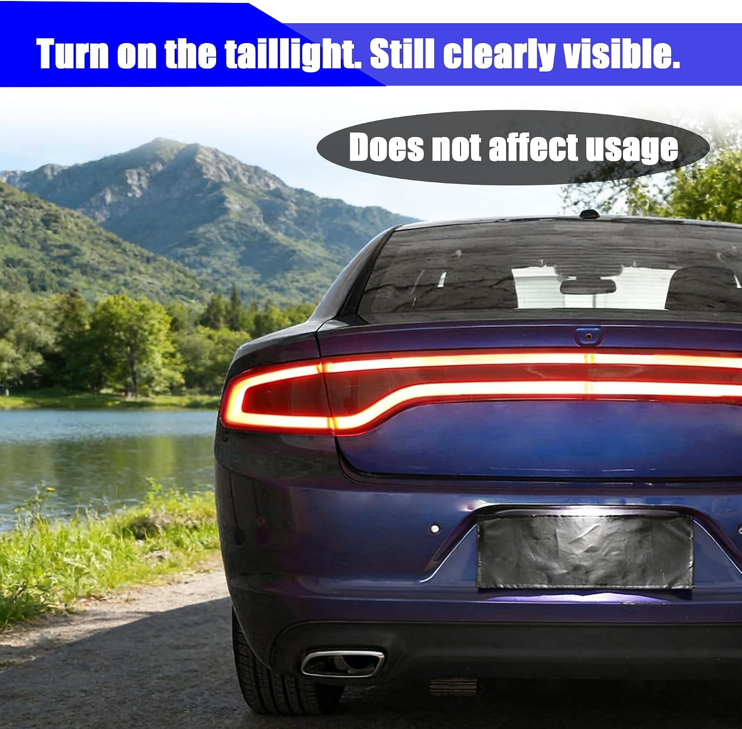 Tail Light Covers Guards Fit for Dodge Charger GT SRT SXT SE R/T Scat Pack 2015-2024, Smoked Black Rear Light Protective Cover Guards Trim Set Exterior Accessories