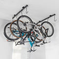 Teal Triangle Ceiling Mounted Bike Rack by TealTriangle