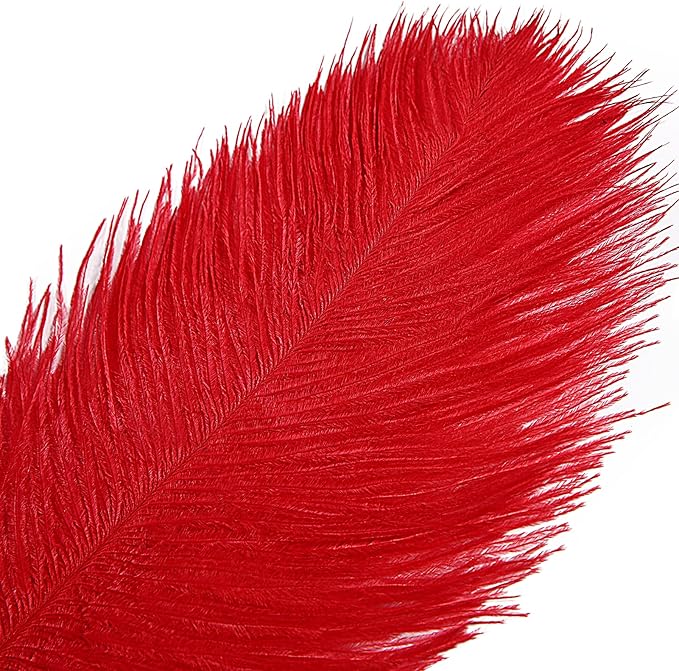 THARAHT Red Ostrich Feathers 12pcs Large Natural Bulk 16-18Inch 40cm-45cm for...
