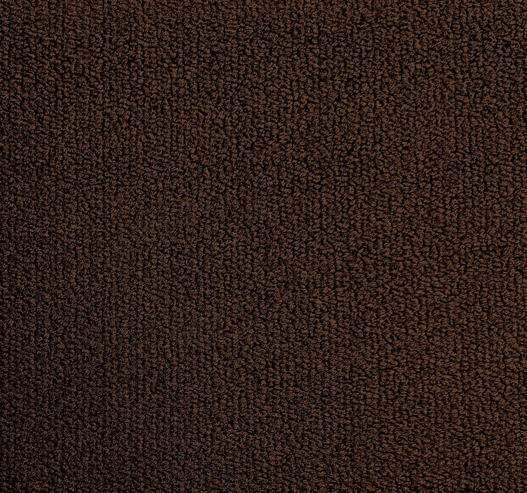 Dorsett Detroit 100% Nylon Classic Loop Automotoive Carpet in Brown - 40" Wide - by The Yard