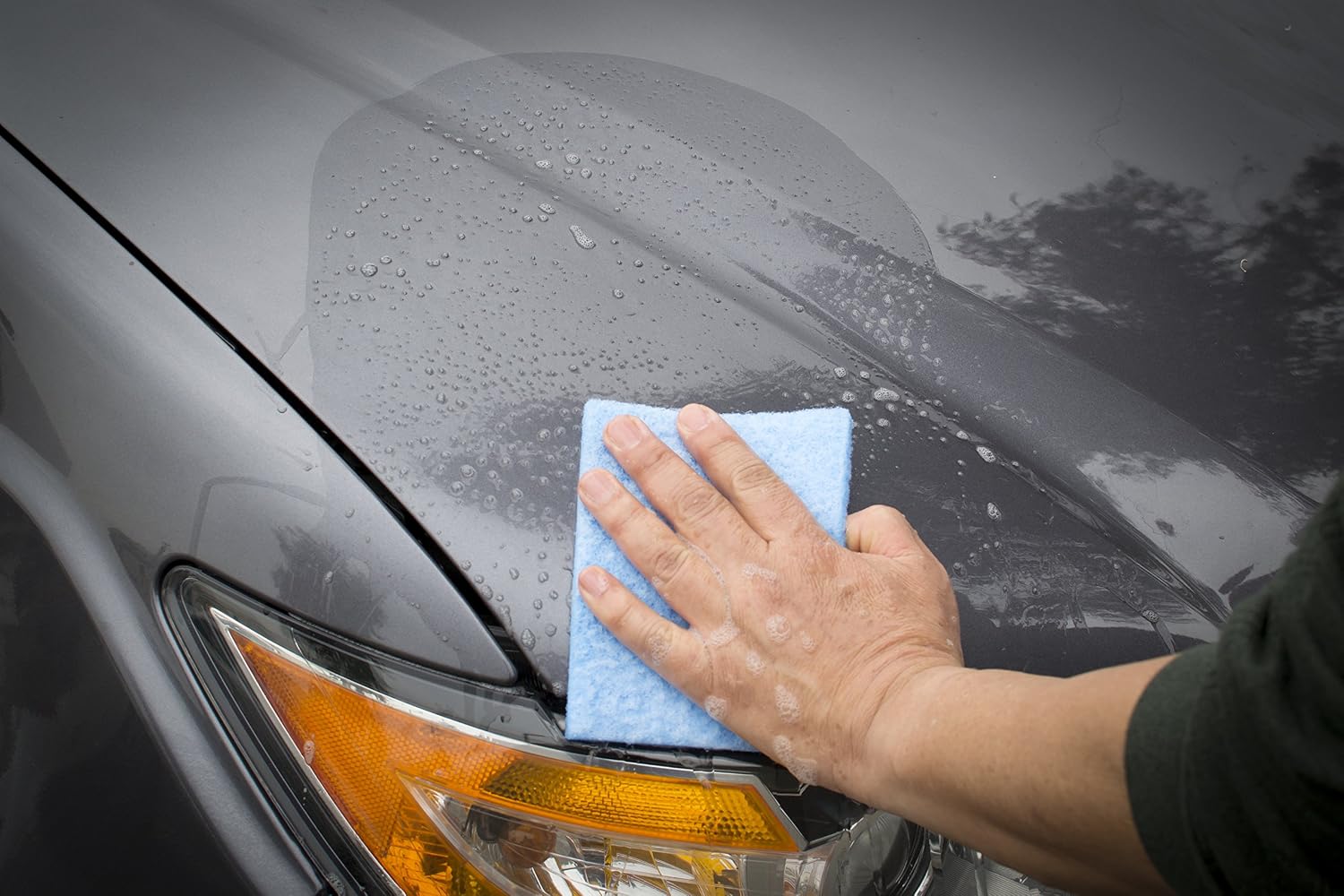 Bug Removing Sponge (6 Pack) with Concentrated Car Wash Soap Included