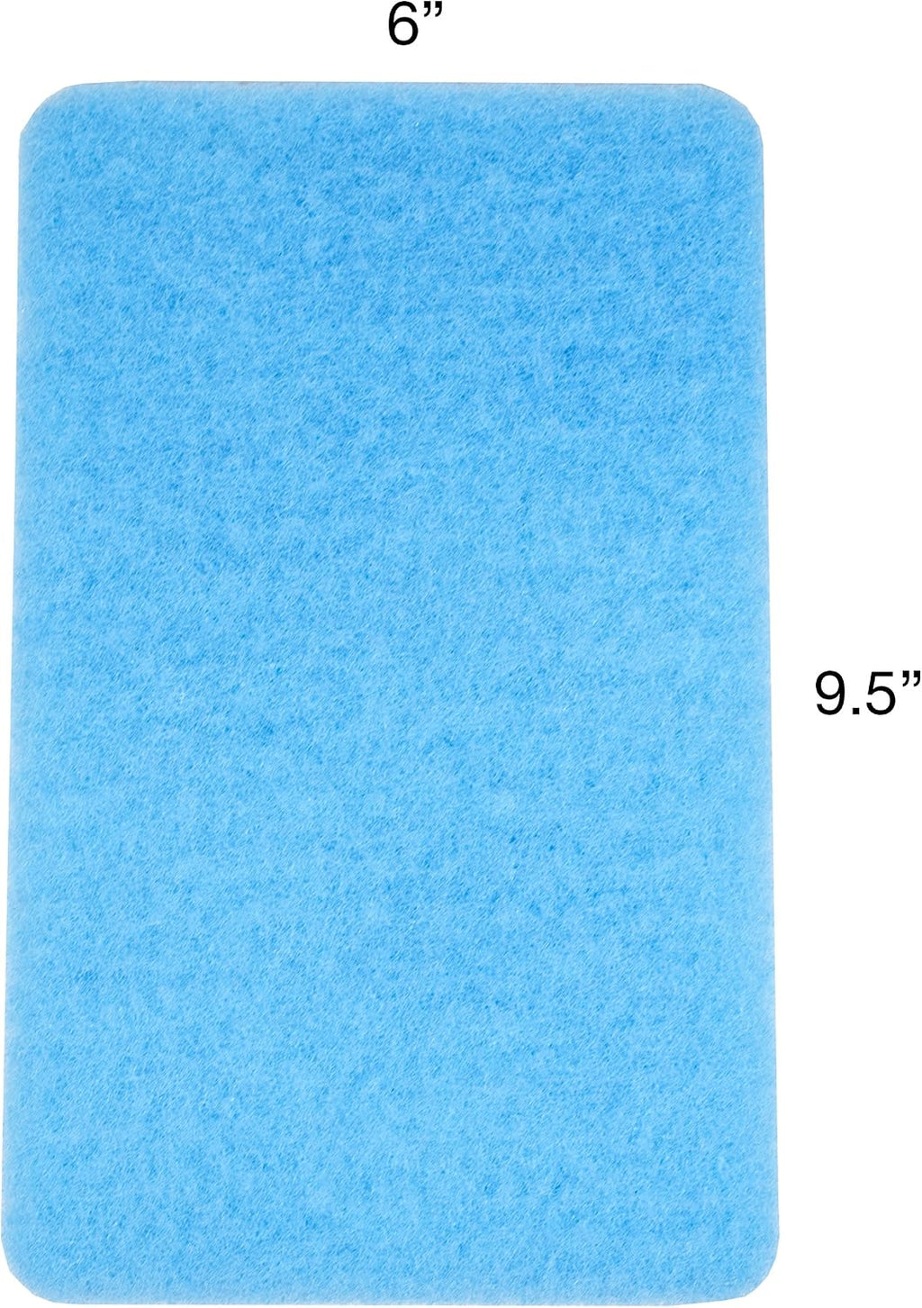 Bug Removing Sponge (6 Pack) with Concentrated Car Wash Soap Included