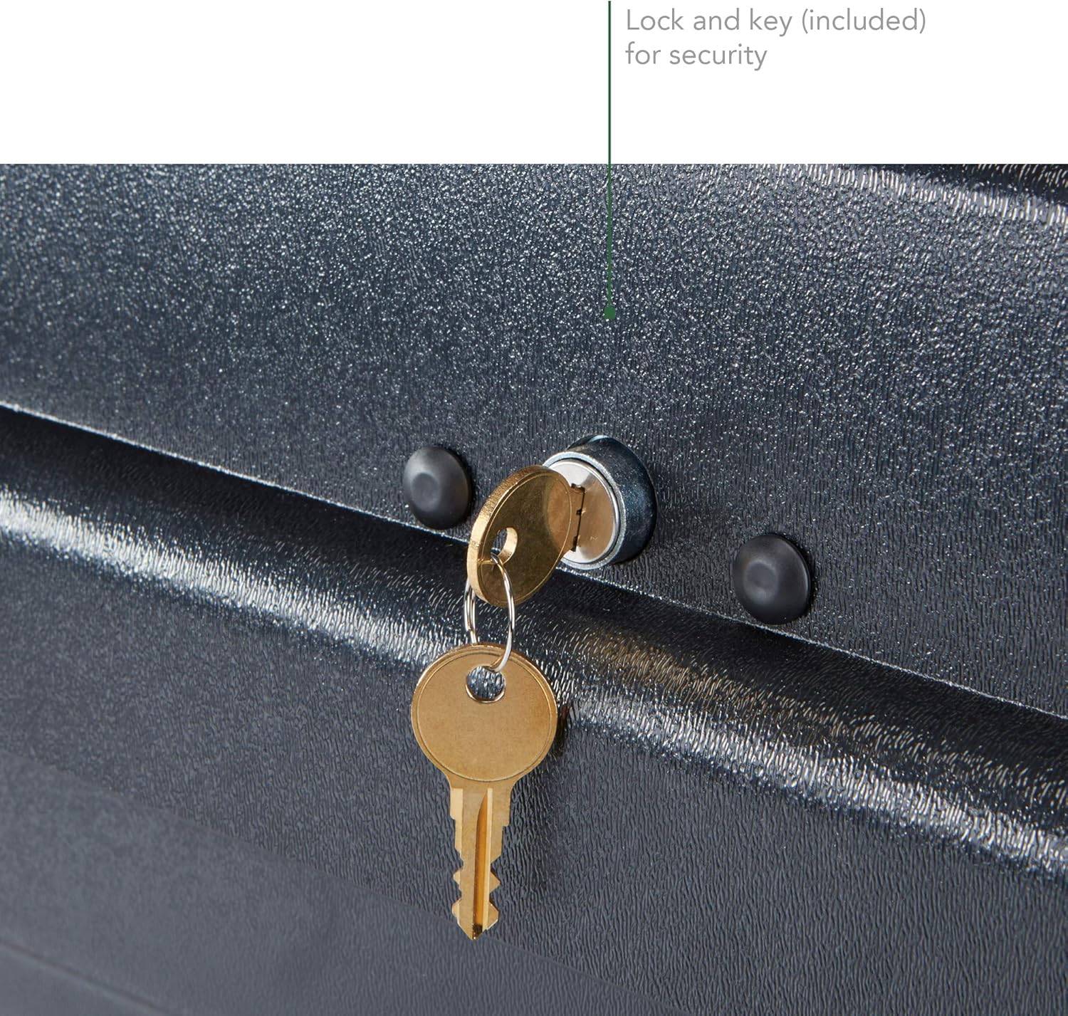 SportRack Vista XL Rear Opening Cargo Box,Black